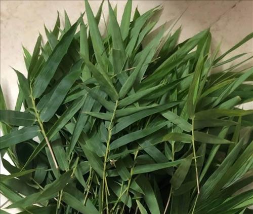 Hoàng Nhân, 33 tuổi, Quận 1, Việt Nam