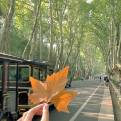 FromMe,TheMoon Sirilak, 32 tuổi, Tìm người hẹn hò, Les, Quận Bình Thạnh, Hồ Chí Minh