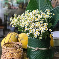 Hoa cỏ, 34 tuổi, Tìm người kết hôn, Les, Quận Gò Vấp, Hồ Chí Minh