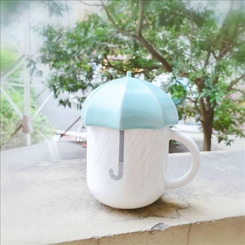 Mèo đi hia, 40 tuổi, Quận Gò Vấp, Việt Nam