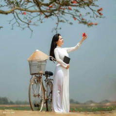 Lan Lan, 38 tuổi, Tìm người yêu, Nữ, Trà Vinh, Việt Nam