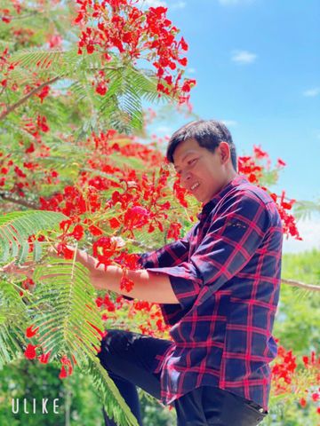 Trọng nguyễn, 31 tuổi, Tân An, Việt Nam