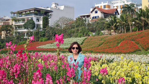 Hoa Mai, 50 tuổi, Quận Hoàn Kiếm, Việt Nam