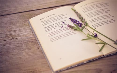 Lavender, 39 tuổi, Quận 1, Việt Nam