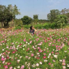 Biển rộng, 39 tuổi, Tìm người yêu, Nữ, Quận Gò Vấp, Hồ Chí Minh