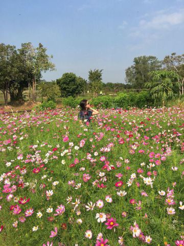 Biển rộng, 39 tuổi, Quận Gò Vấp, Việt Nam