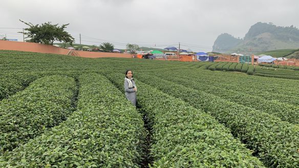 NguyenNhan, 34 tuổi, Quận 12, Việt Nam