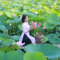 Điều giản dị, 52 tuổi, Tìm người kết hôn, Nữ, Quận Cầu Giấy, Hà Nội