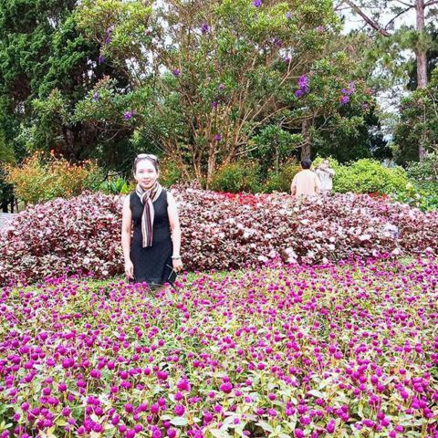 Lê Hải Linh, 44 tuổi, Nha Trang, Việt Nam