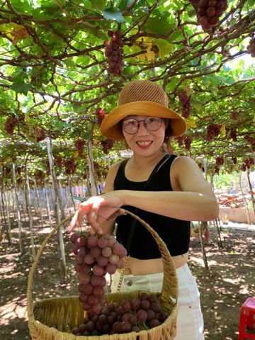 Minh Phuong, 39 tuổi, Quận 1, Việt Nam