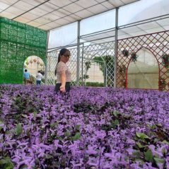 Bé út, 36 tuổi, Tìm bạn bè, Nữ, Vĩnh Long, Việt Nam