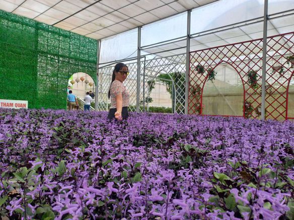 Bé út, 36 tuổi, Vĩnh Long, -- Select Country --