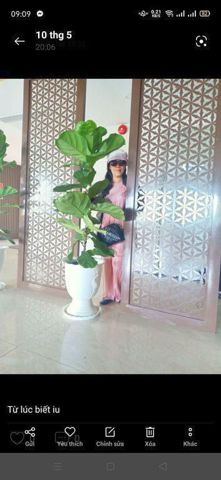 Hanh, 58 tuổi, Quận Phú Nhuận, Việt Nam