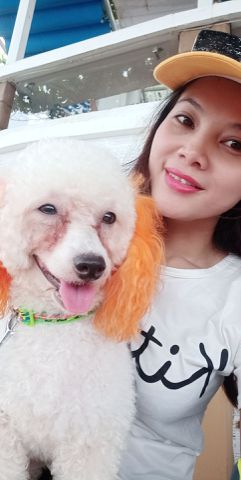 Tuyết Tuyết, 34 tuổi, Quận Bình Tân, Việt Nam