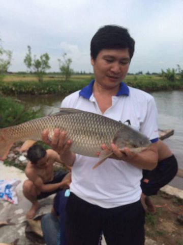 Ngoc17, 41 tuổi, Kiến Xương, Việt Nam