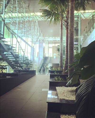 Hạo, 29 tuổi, Quận 1, Việt Nam