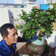 Giai, 51 tuổi, Tìm người hẹn hò, Nam, Quận 5, Hồ Chí Minh