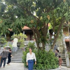 Hien, 47 tuổi, Tìm bạn bè, Nữ, Bình Chánh, Hồ Chí Minh