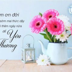 Thiện Trần, 51 tuổi, Tìm người yêu, Nam, Biên Hòa, Đồng Nai