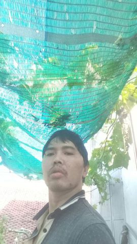 Đức, 38 tuổi, Thái Bình, -- Select Country --
