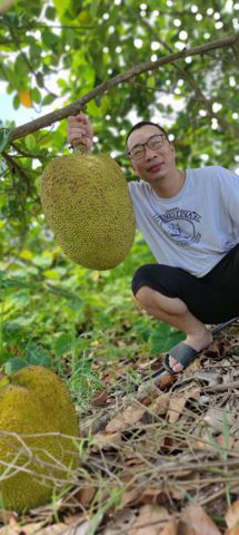 Hải, 39 tuổi, Quận Hồng Bàng, Việt Nam