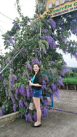 T Trâm, 44 tuổi, Quận Bình Tân, Việt Nam