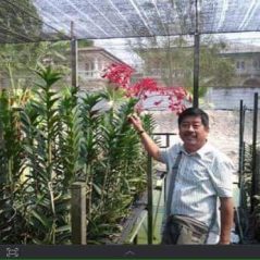 Lion Duong, 64 tuổi, Tìm bạn bốn phương, Nam, Quận Gò Vấp, Hồ Chí Minh