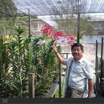 Lion Duong, 64 tuổi, Quận Gò Vấp, Việt Nam