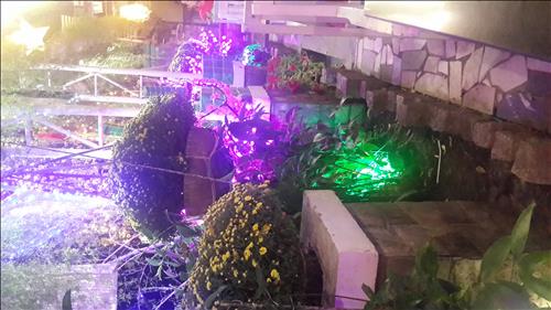 ode, 31 tuổi, Quận 1, Việt Nam