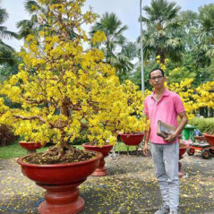 Minh 30t Gò vấp…, 29 tuổi, Tìm người yêu, Nam, Quận Gò Vấp, Hồ Chí Minh