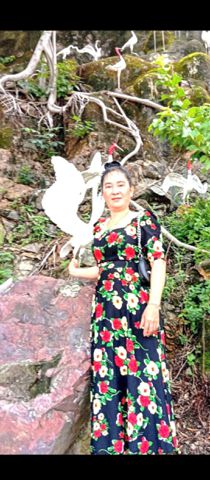 Trag mai, 45 tuổi, Tân Phú, Việt Nam
