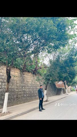 Quân, 35 tuổi, Lào Cai, -- Select Country --