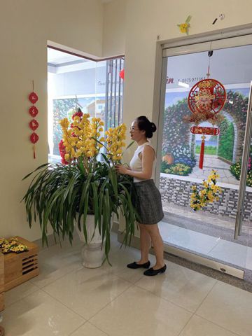 Nguyen Thi Minh Lan..., 41 tuổi, Quận 1, Việt Nam