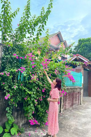 Cẩm Tú Cầu, 39 tuổi, Quận Tây Hồ, Việt Nam