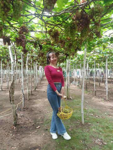 Quỳnh Như, 44 tuổi, Biên Hòa, Việt Nam