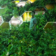 PVP, 45 tuổi, Tìm bạn bốn phương, Nam, Quận Gò Vấp, Hồ Chí Minh