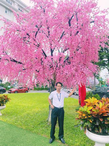 David, 43 tuổi, Quận Hải Châu, Việt Nam