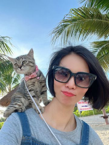 Vee, 41 tuổi, Quận Hải An, Việt Nam