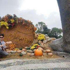 Nguyên Phong, 33 tuổi, Tìm bạn bè, Nam, Quận Phú Nhuận, Hồ Chí Minh