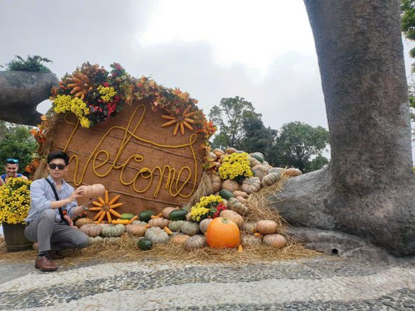 Nguyên Phong, 33 tuổi, Quận Phú Nhuận, Việt Nam