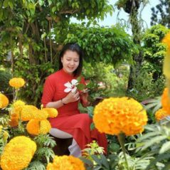 Hậu, 33 tuổi, Tìm người yêu, Nữ, Vĩnh Long, Việt Nam