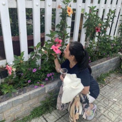 Em không là nàng thơ…, 41 tuổi, Tìm người kết hôn, Nữ, Quận Tân Bình, Hồ Chí Minh