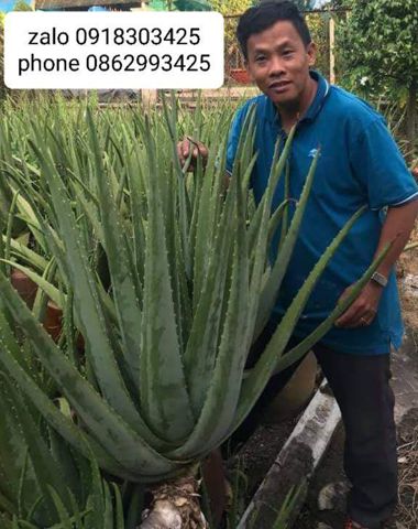 THỊNH, 45 tuổi, Cư M'gar, Việt Nam