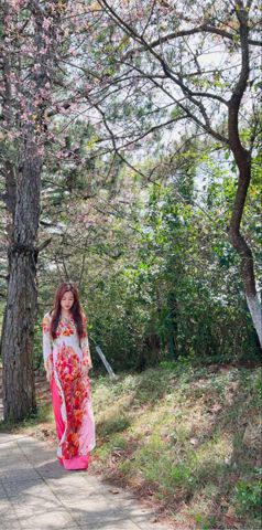 Mimi, 38 tuổi, Đà Lạt, Việt Nam