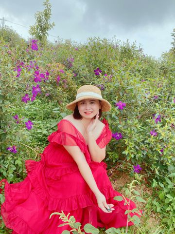 Tuyết Mai, 39 tuổi, Ninh Bình, -- Select Country --