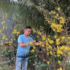 Diep van tu, 37 tuổi, Tìm người hẹn hò, Nam, Long Xuyên, An Giang