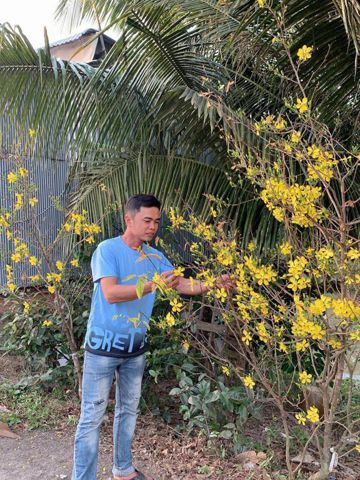 Diep van tu, 37 tuổi, Long Xuyên, Việt Nam
