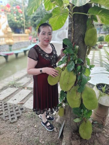 Cam tien, 17 tuổi, Bến Tre, -- Select Country --