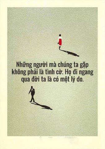 Cỏ tím, 41 tuổi, Quận 1, Việt Nam