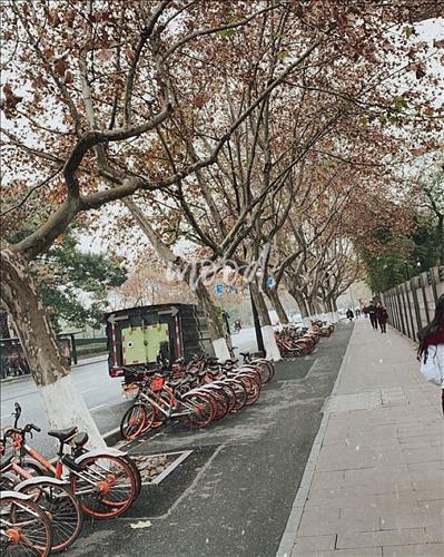 Thảo, 29 tuổi, Quận 1, Việt Nam